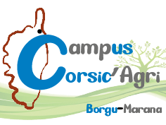Logo campus agriCorsica