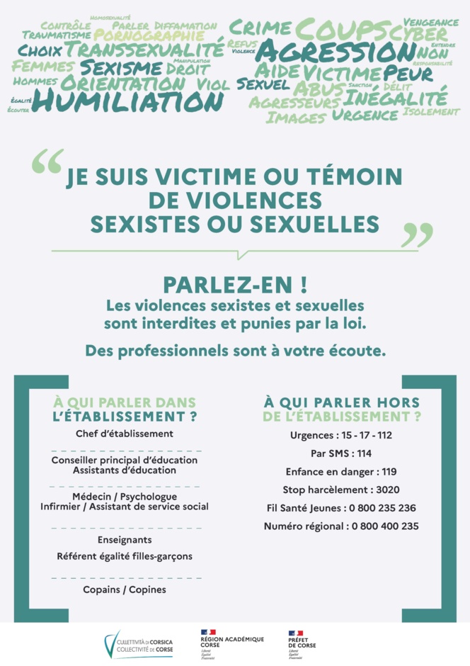 Affiche violence sexistes et sexuelles à télécharger