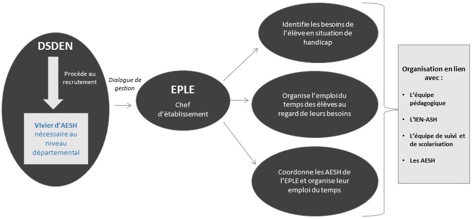 Coordination des AESH - Premier degré