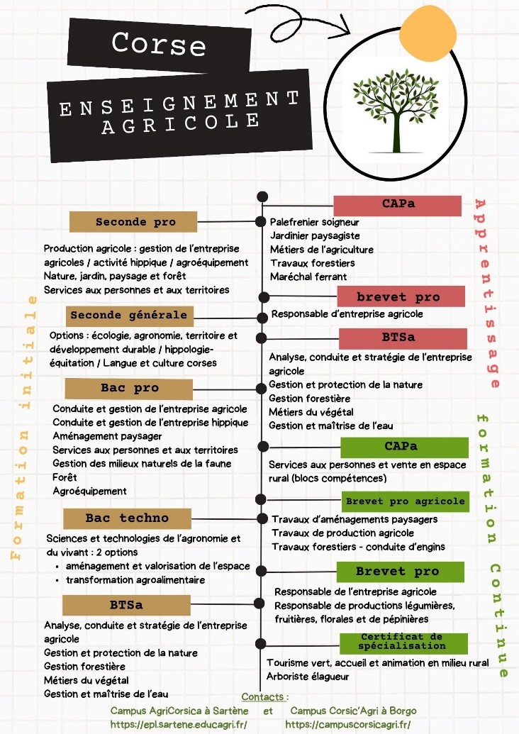Infographie - Enseignement agricole
