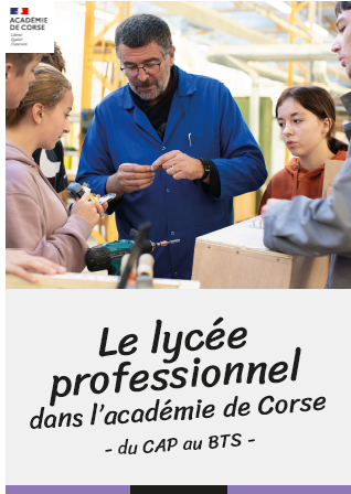 Miniature - Flyer Lycée professionnel