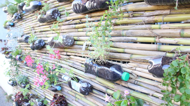Exposition Dessine moi l'écologie