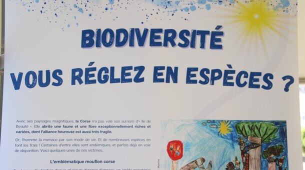 Exposition Dessine moi l'écologie
