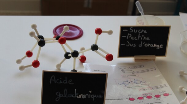 Trophées scientifiques 2025