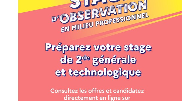 Mon stage observation