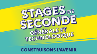 Stage de seconde