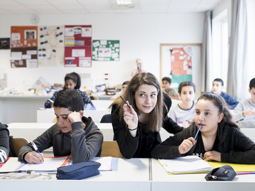 Professeure enseignante collège