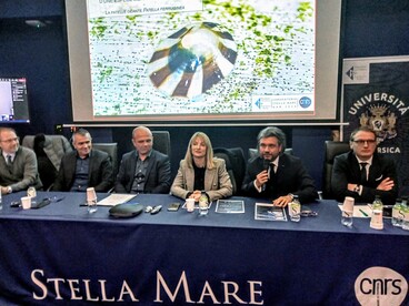 Conférence de presse Patelle géante - Stella Mare