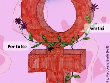 Lutte contre la précarité menstruelle - Affiche du collège de Baleone